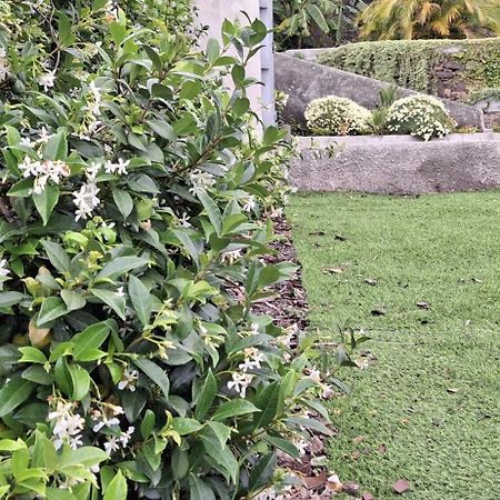 Moradia Stephanie Funchal  Luaran gambar